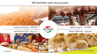 重磅:EW Nutrition收購Novus(諾偉司)飼料質量和色素業務